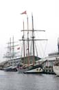TS2013-010 - Oosterschelde