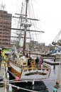 TS2013-050 - Lady Nelson