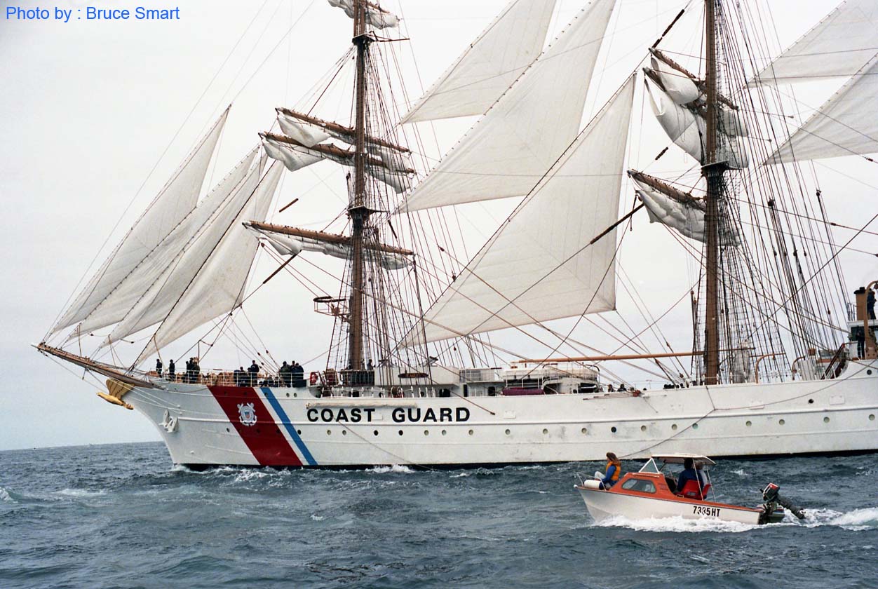 TS88-084 - Eagle, USA