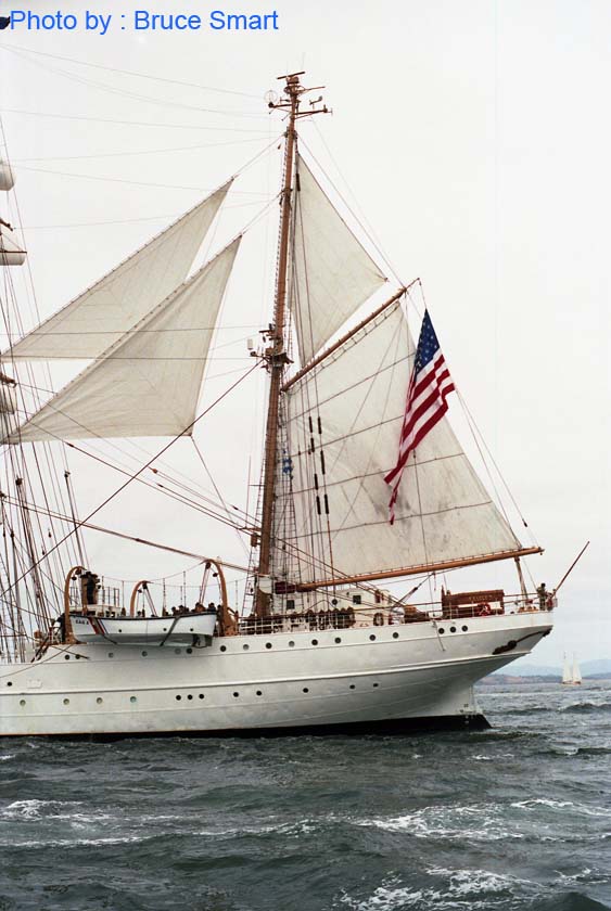 TS88-085 - Eagle, USA