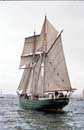 TS88-130 - Solway Lass, NSW