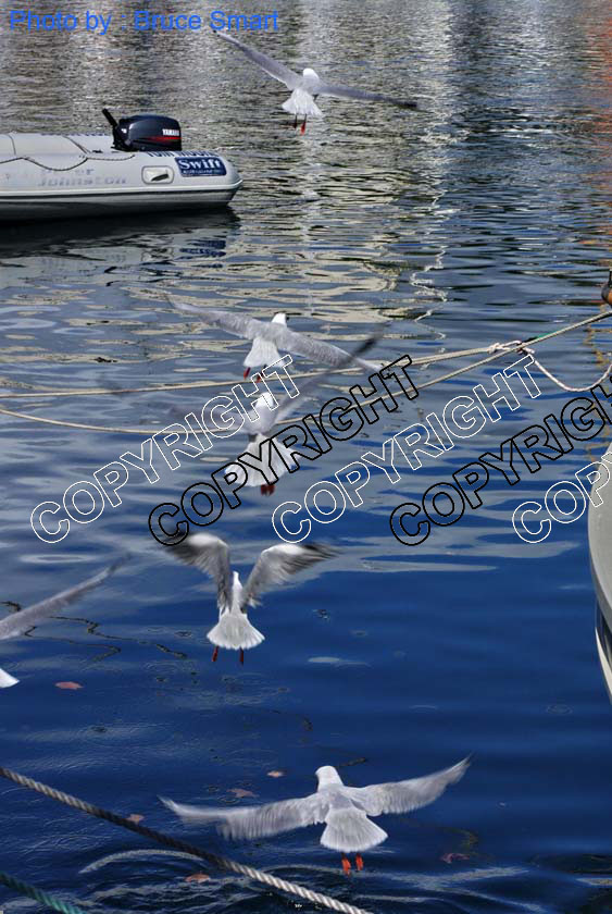 WB2013-097