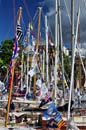 WB2013-071