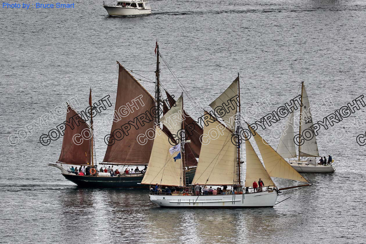 WB2019-443